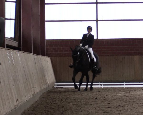Reitturnier Ostenfelde-Vornholz 2022