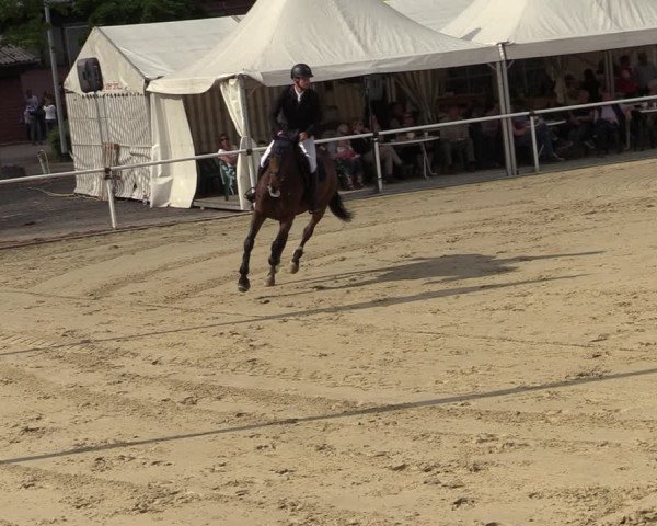 Reitturnier Ostenfelde-Vornholz 2022