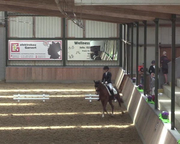 Reitturnier Rhede 2022
