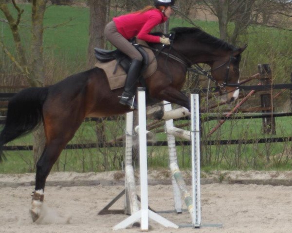 Pferd Rania de L`amie (Westfale, 2005, von Roh Magic)