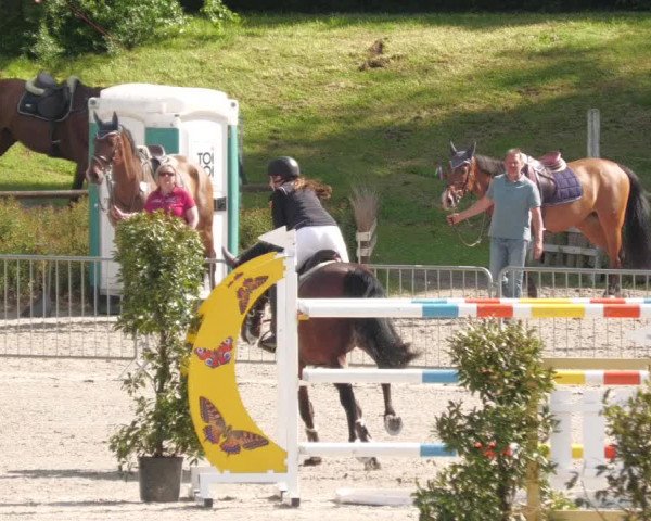 Reitturnier Tübingen 2022