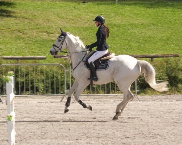 Reitturnier Tübingen 2022