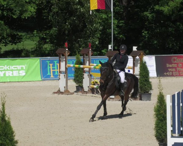 Reitturnier Karlsfeld/Obb. 2022