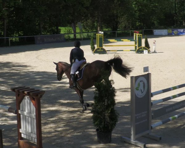 Reitturnier Karlsfeld/Obb. 2022
