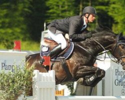 broodmare Olivia de Nantuel (Selle Français, 2002, from Kannan)