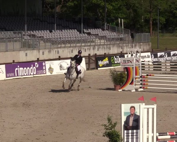 Reitturnier Westergellersen 2022