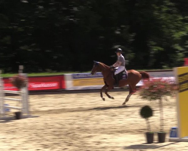 Reitturnier Rhede 2022
