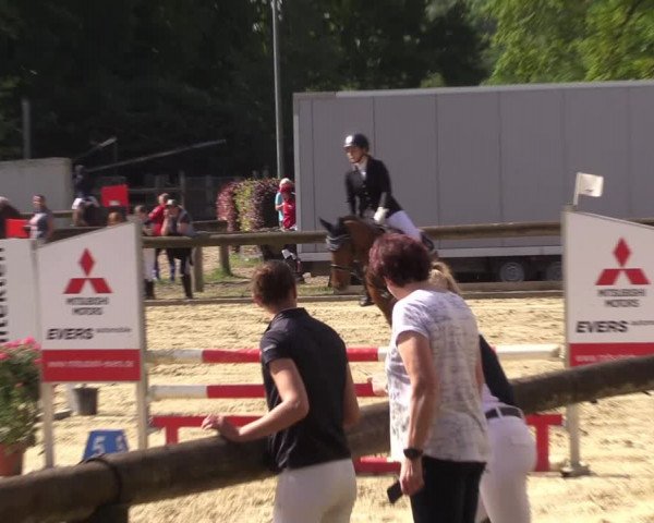 Reitturnier Rhede 2022