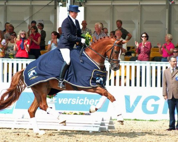 broodmare Woodlander Farouche (Hanoverian, 2006, from Fürst Heinrich)