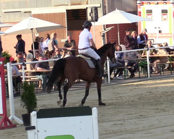 Reitturnier Ostenfelde-Vornholz 2022