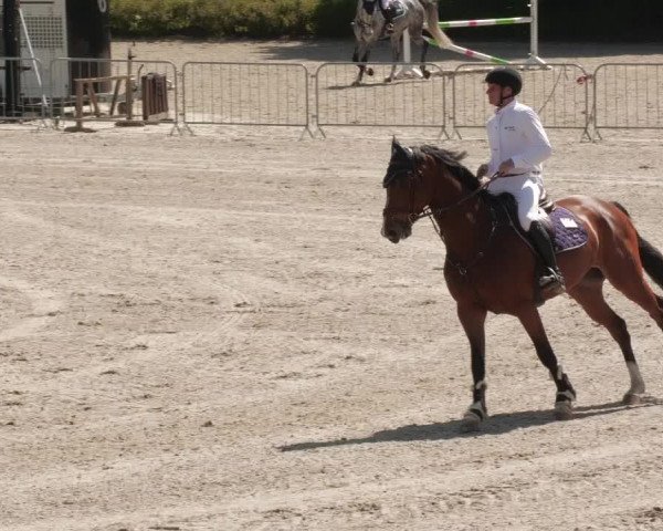 Reitturnier Tübingen 2022