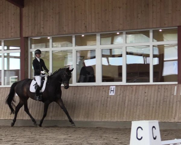 Reitturnier Ostenfelde-Vornholz 2022