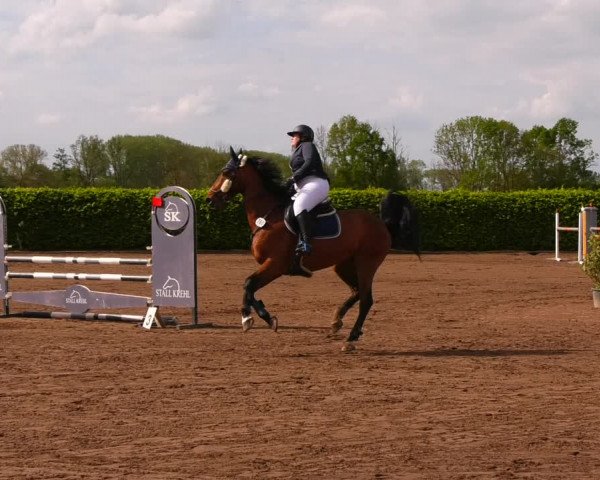 Reitturnier Lentzke - Reitanlage Krehl 2022