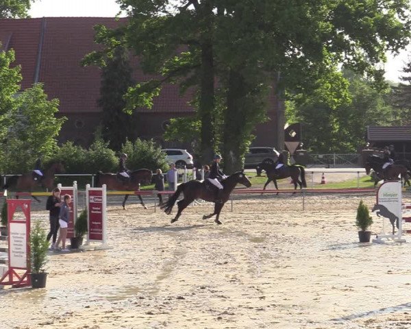 Reitturnier Ostenfelde-Vornholz 2022
