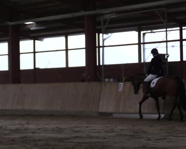 Reitturnier Ostenfelde-Vornholz 2022