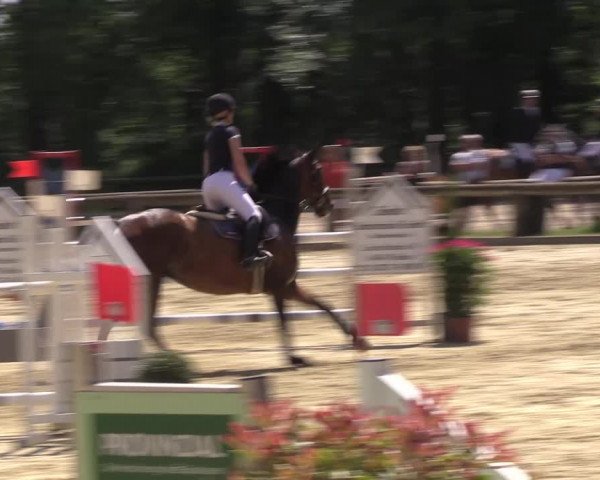 Reitturnier Rhede 2022