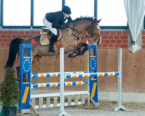 jumper Lima Luna 2 (Oldenburg, 2006, from Ludwig von Bayern 168 FIN)