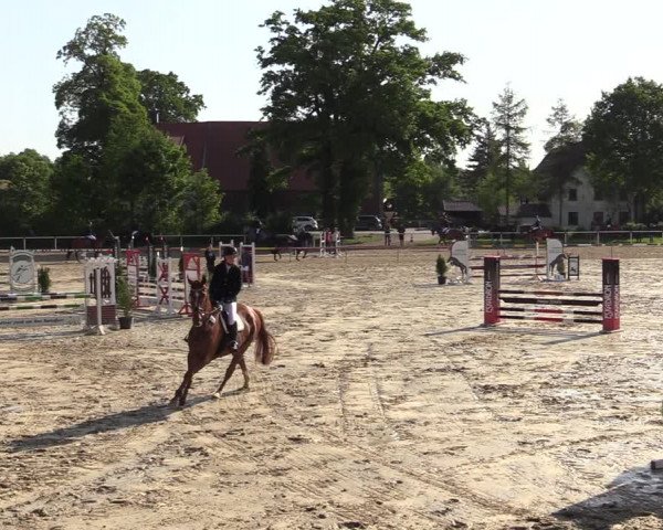 Reitturnier Ostenfelde-Vornholz 2022