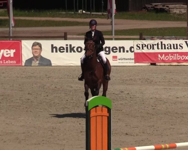 Reitturnier Westergellersen 2022