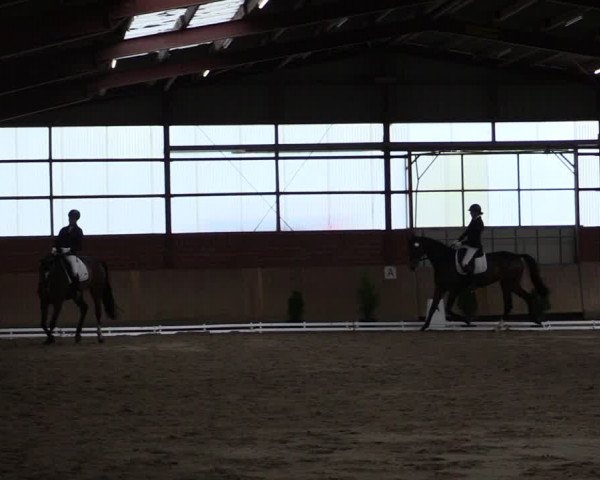 Reitturnier Ostenfelde-Vornholz 2022