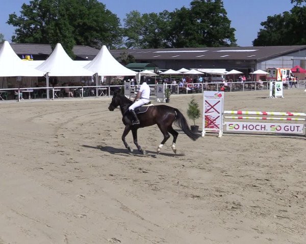 Reitturnier Ostenfelde-Vornholz 2022