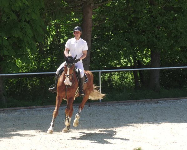 Reitturnier Karlsfeld/Obb. 2022