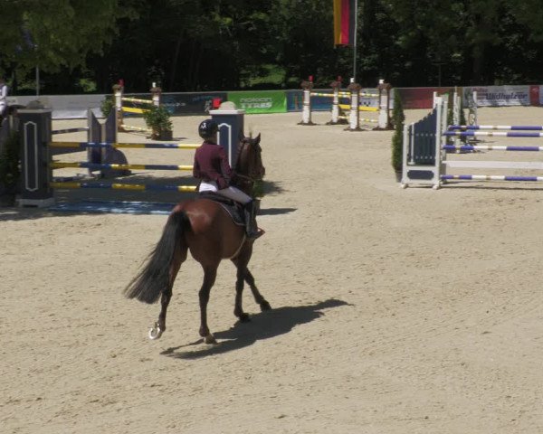 Reitturnier Karlsfeld/Obb. 2022