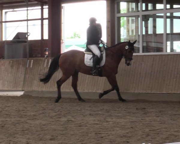 Reitturnier Ostenfelde-Vornholz 2022