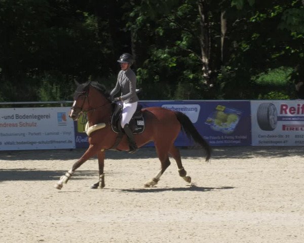 Reitturnier Karlsfeld/Obb. 2022