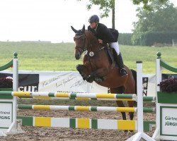 broodmare Frau Fly (Westphalian, 2008, from Florenciano 6)