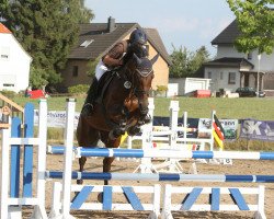 broodmare Chumba (Westphalian, 2007, from Cayetano L)