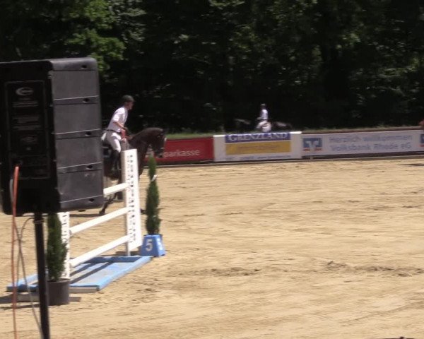 Reitturnier Rhede 2022