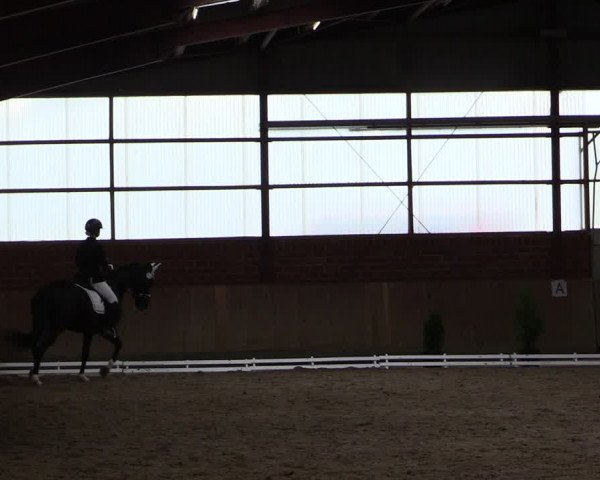Reitturnier Ostenfelde-Vornholz 2022