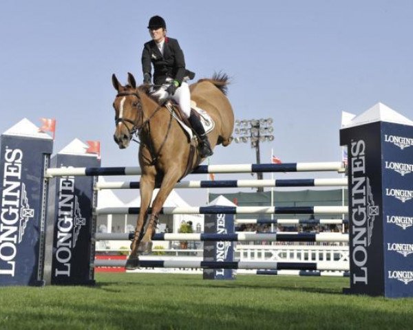 broodmare Heritage Hhs Fortuna (Irish Sport Horse, 2001, from Fortunus)