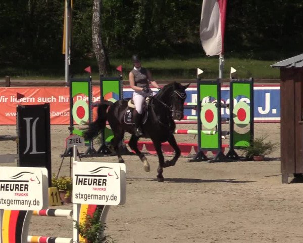 Reitturnier Westergellersen 2022