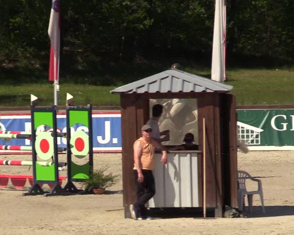 Reitturnier Westergellersen 2022