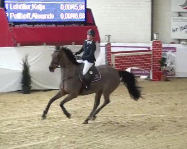 jumper Lindsay (Holsteiner, 2001, from Lavaletto)
