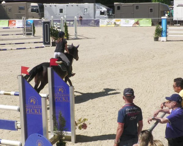 Reitturnier Karlsfeld/Obb. 2022