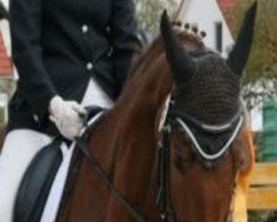 broodmare Rihanna Royal (Hanoverian, 2004, from Rubin Royal OLD)