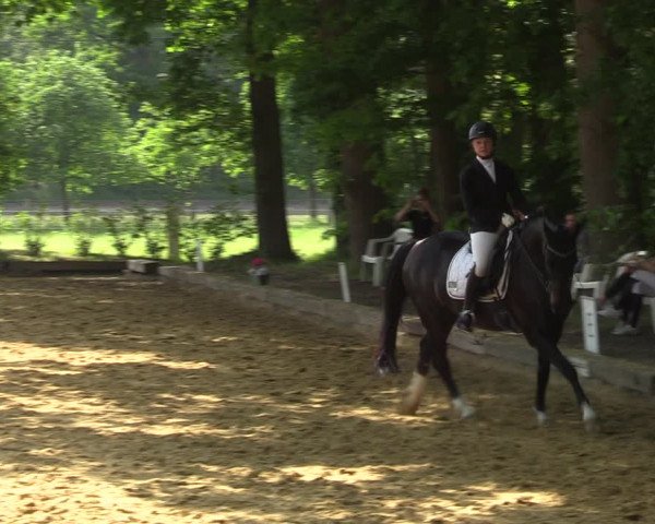 Reitturnier Rhede 2022