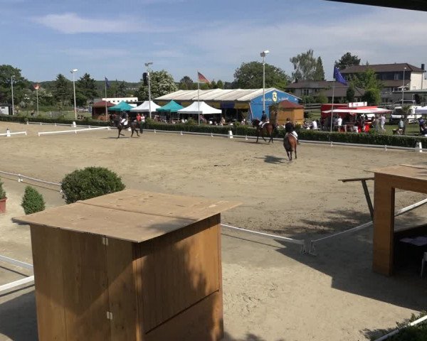 Reitturnier Bornheim-Widdig 2022