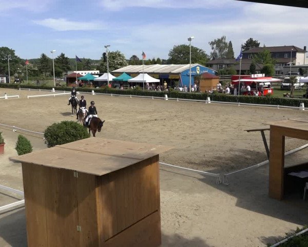 Reitturnier Bornheim-Widdig 2022