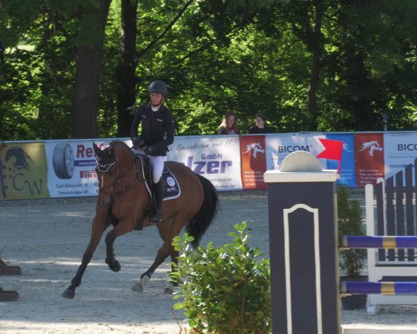 Reitturnier Karlsfeld/Obb. 2022
