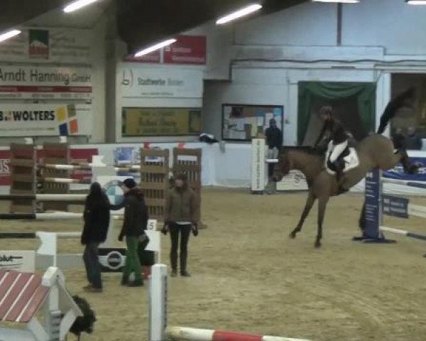 jumper Concept (Danish Warmblood, 2006, from Cassini II)