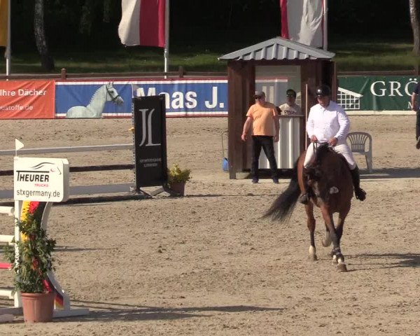 Reitturnier Westergellersen 2022