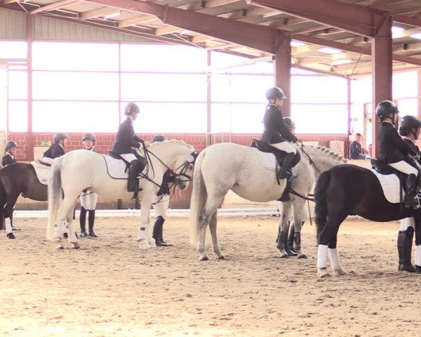 Reitturnier Ostenfelde-Vornholz 2022
