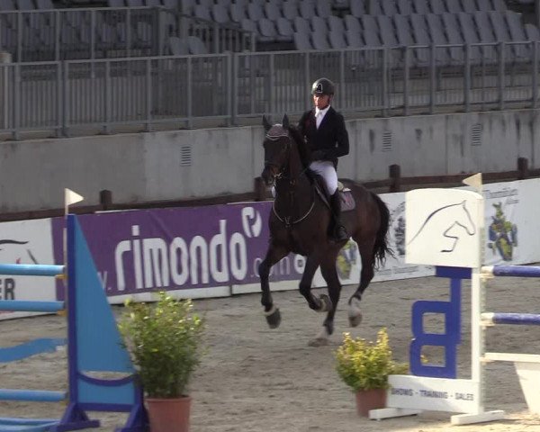 Reitturnier Westergellersen 2022