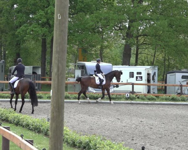 Reitturnier Schwanewede 2022