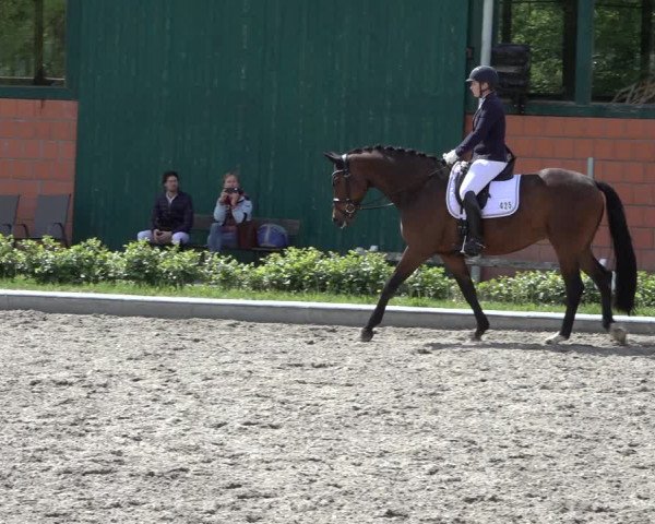 Reitturnier Schwanewede 2022