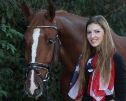 dressage horse Cibaro T (Rhinelander, 2007, from Cinto)